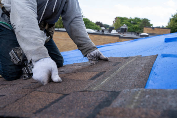 Best Storm Damage Roof Repair  in Fortuna Foothills, AZ
