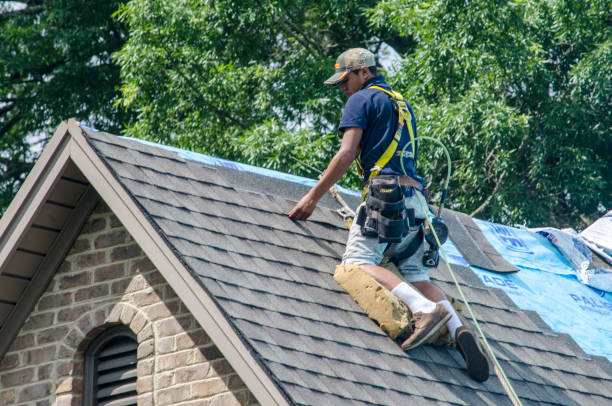 Best Shingle Roofing Installation  in Fortuna Foothills, AZ